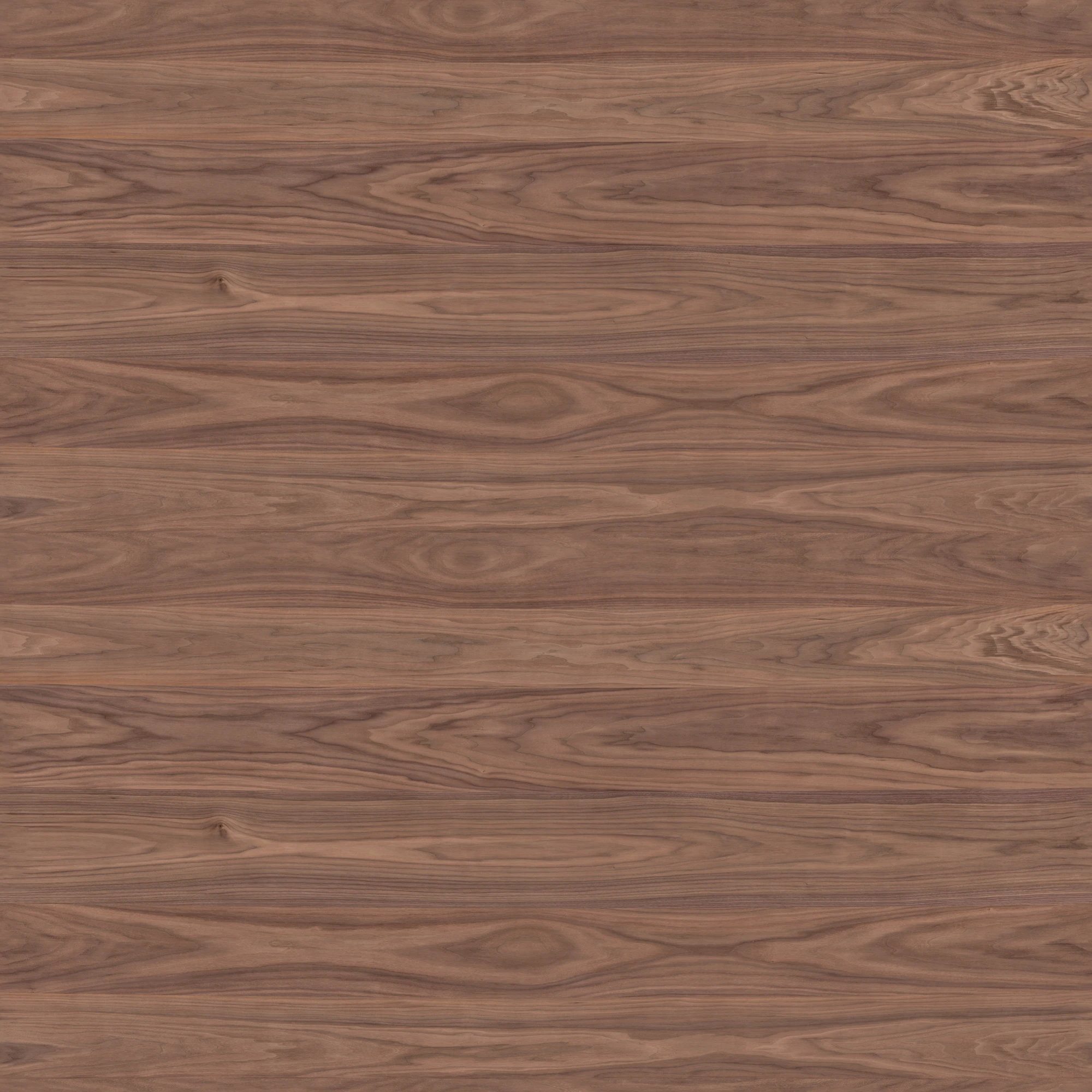 Coffee Walnut
